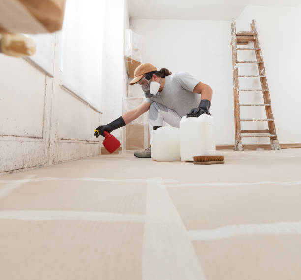  Troy Hills, NJ Mold Removal Pros