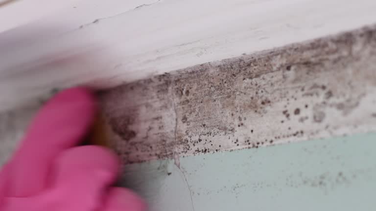 Forensic Mold Investigation